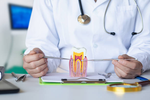 Best Emergency Broken Tooth Repair in Orono, MN
